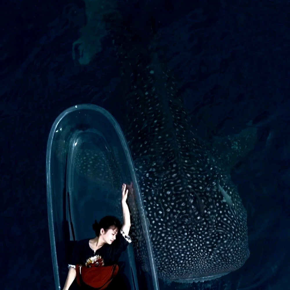 GIF uploaded by Fio