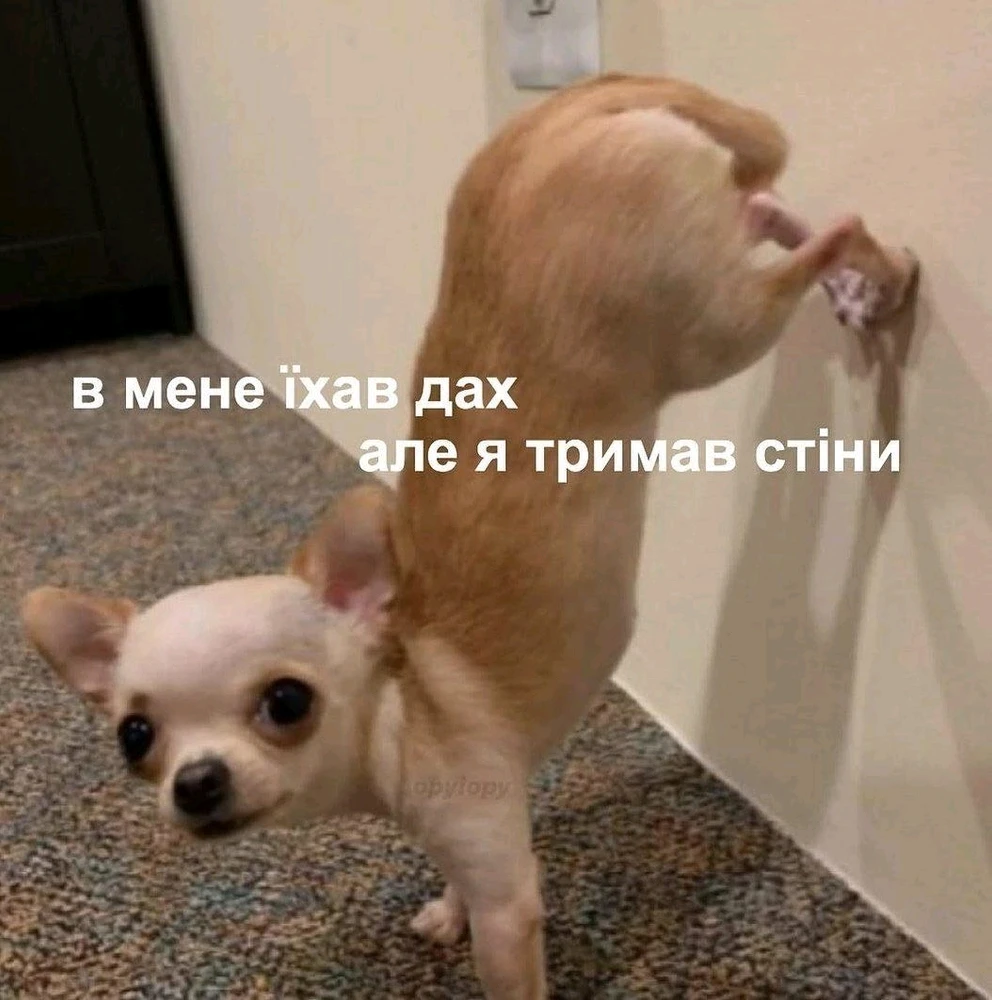 Гіфку завантажив Ярися