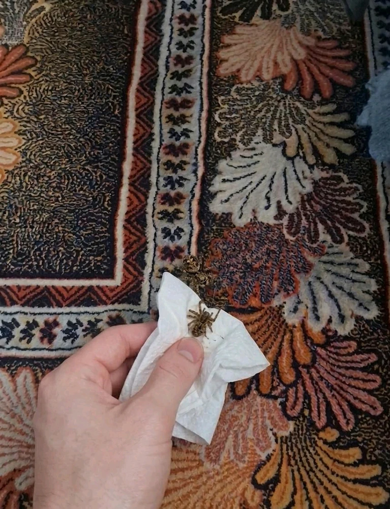 Ahmet Yesevi tarafından yüklenen GIF