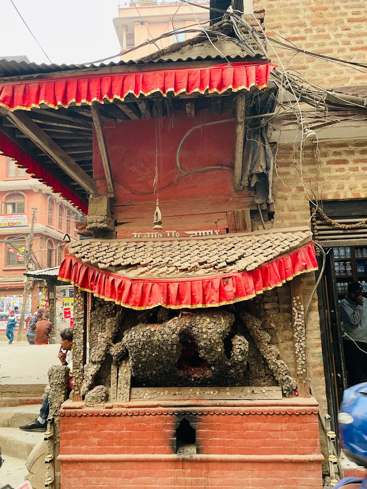 Meme ले अपलोड गरेको तस्बिर