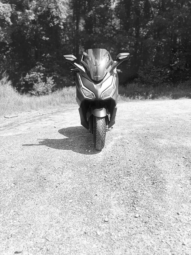 GIF hochgeladen von Max