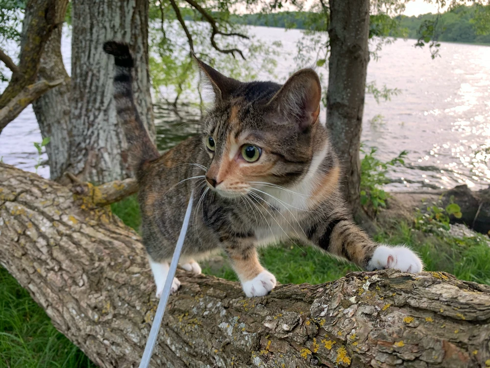 Image uploaded by Cecilie
