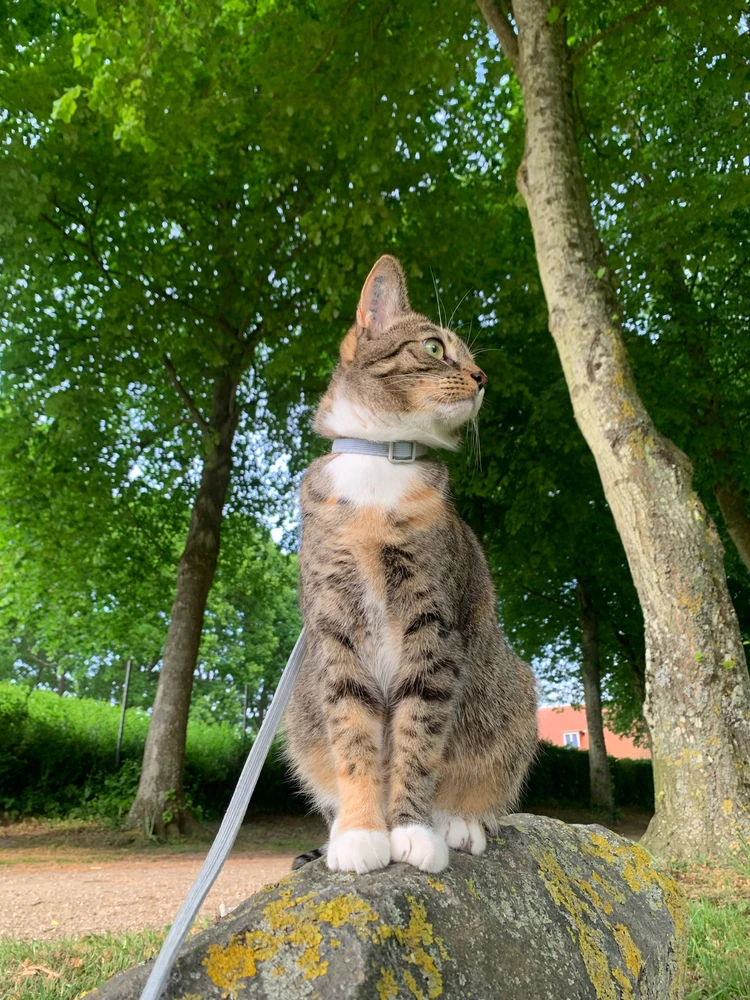 Image uploaded by Cecilie
