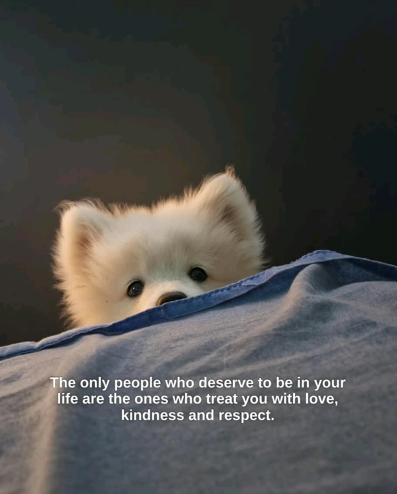 GIF uploaded by HalimatSadia