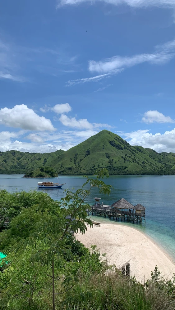 Image uploaded by Sasa