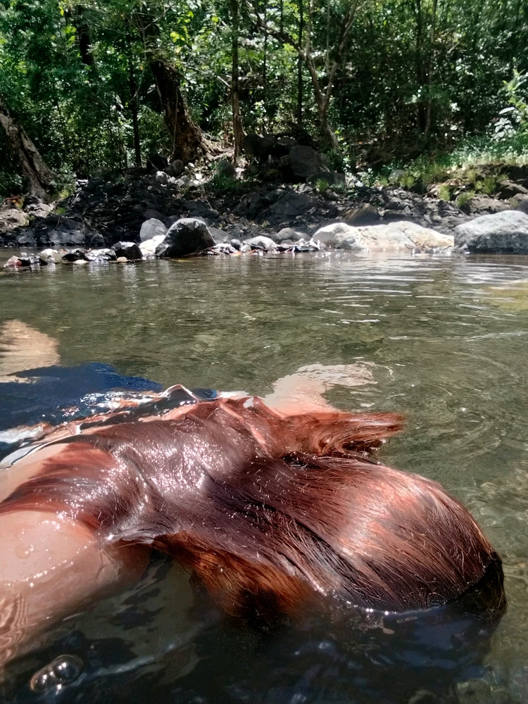 GIF uploaded by Ajoy