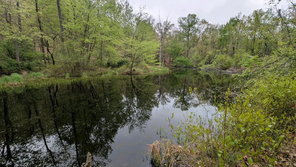 Image uploaded by William