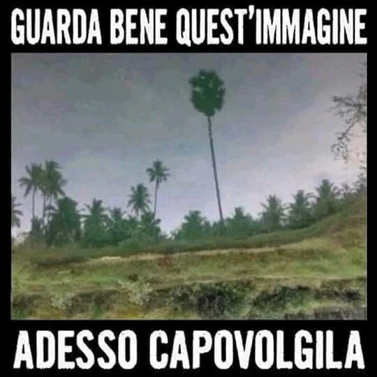 GIF caricata da Simone