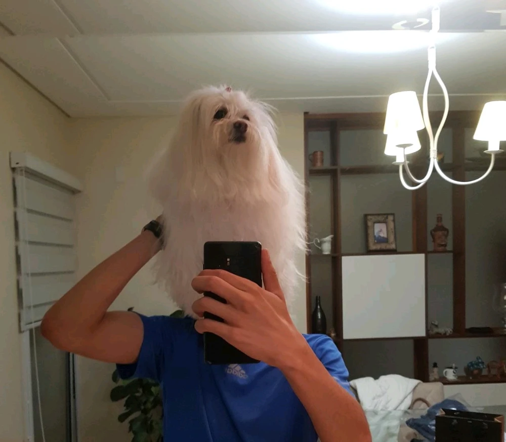 GIF enviado por Nícolas