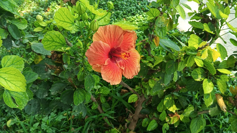 GIF uploaded by Sachin