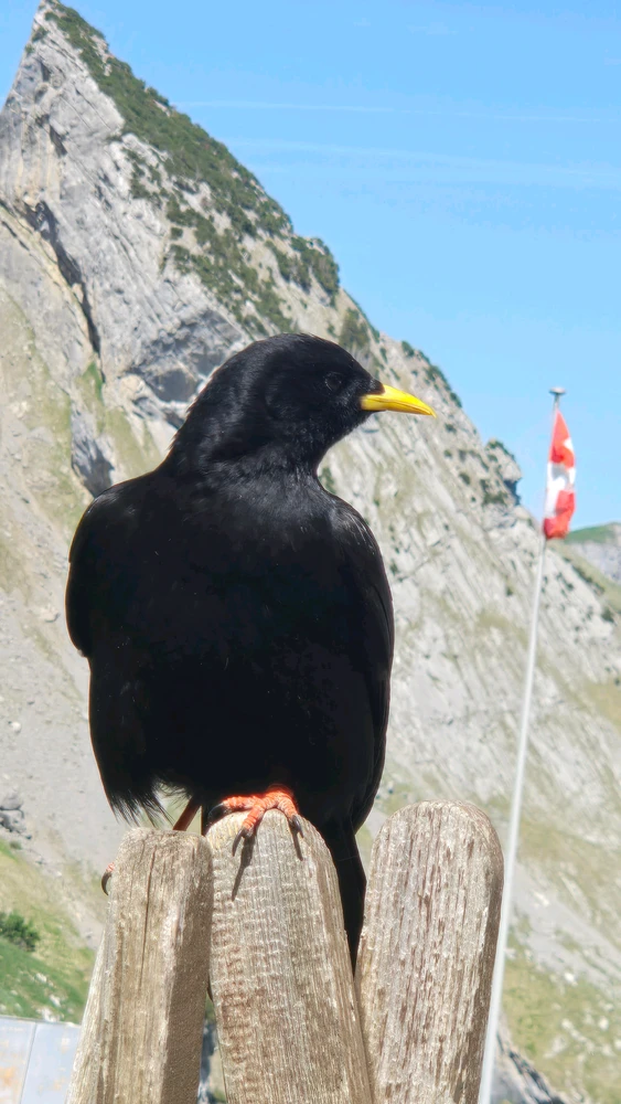 Bild hochgeladen von Deden