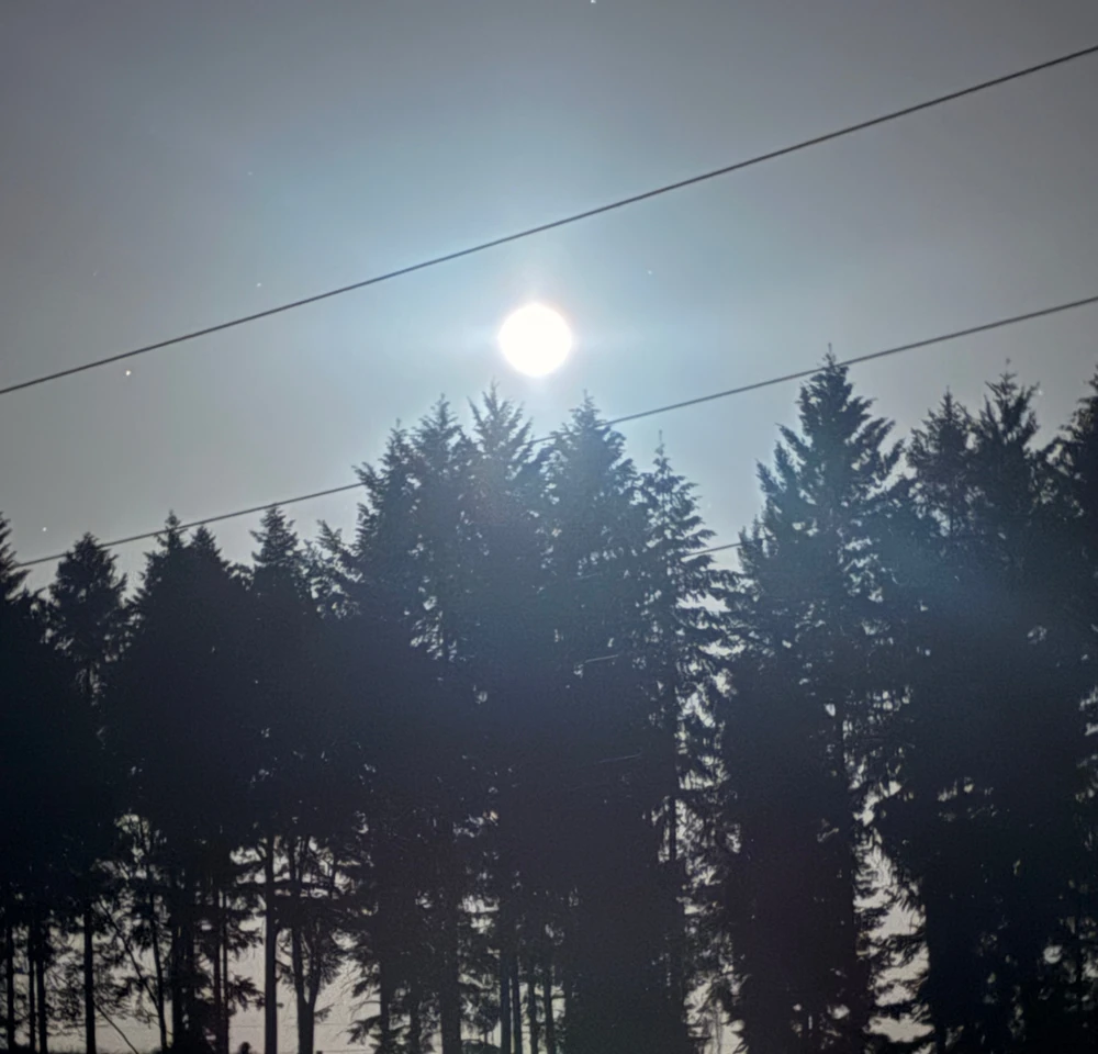 Image uploaded by ℳ𝒾𝒹𝓃𝒾𝑔𝒽𝓉