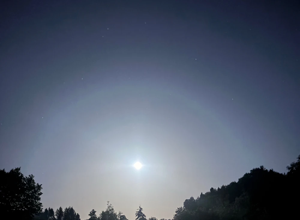 Image uploaded by ℳ𝒾𝒹𝓃𝒾𝑔𝒽𝓉