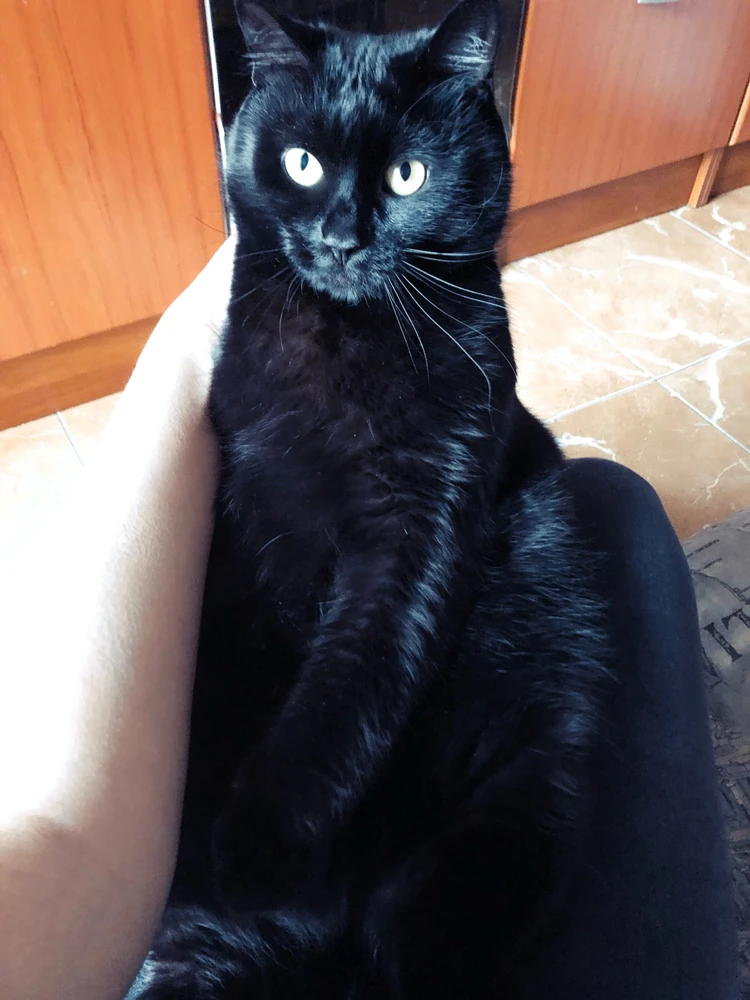 Гіфку завантажив Mila