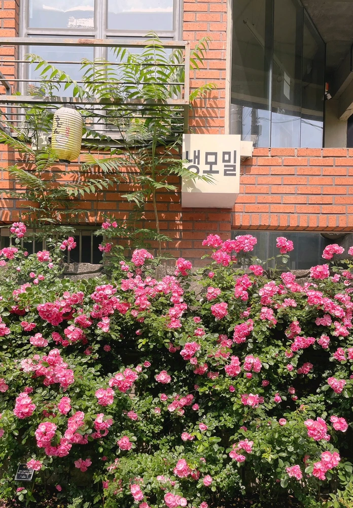 Image uploaded by Kunu