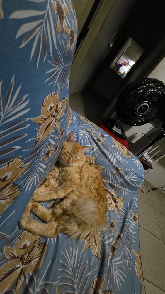 GIF enviado por Jhullye
