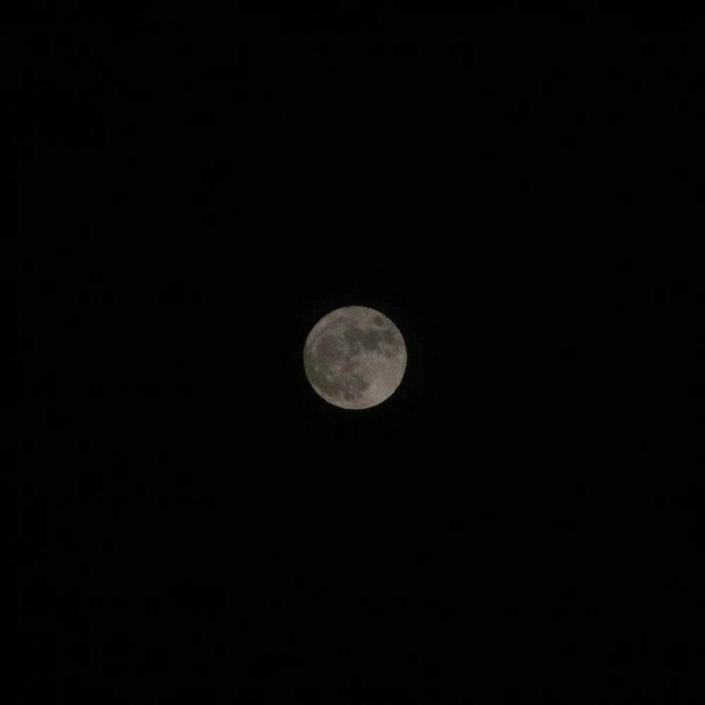 GIF uploaded by Nate