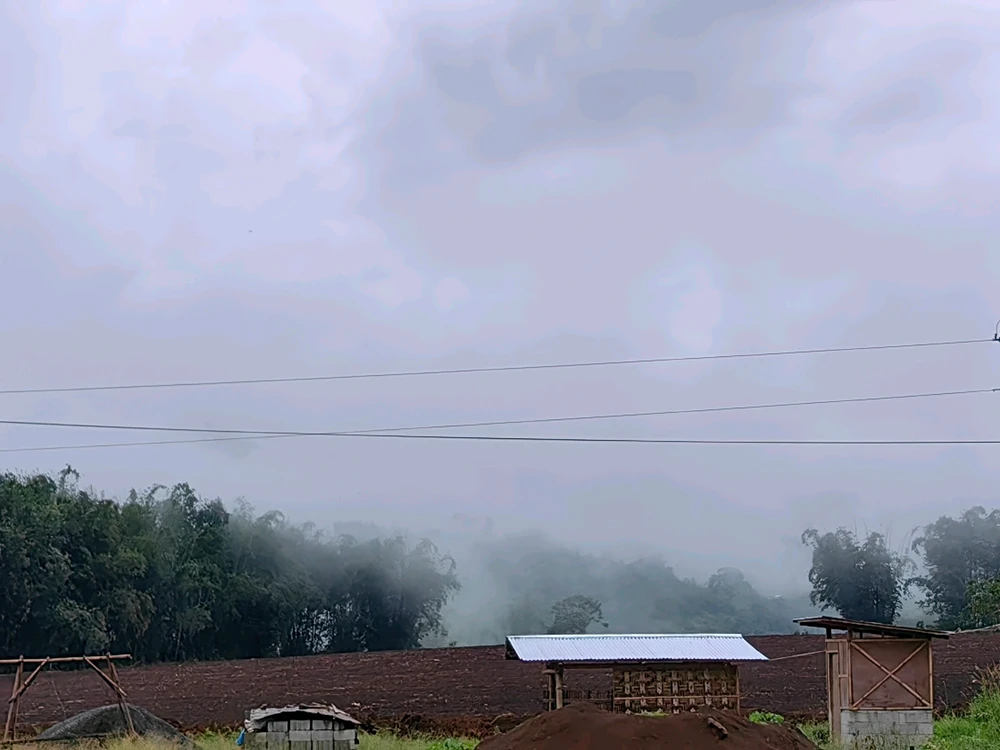 Image uploaded by crippple