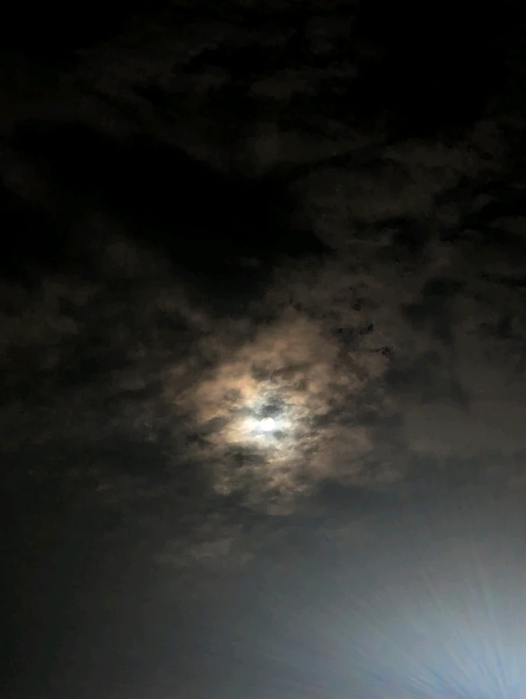 Image uploaded by Kaleb