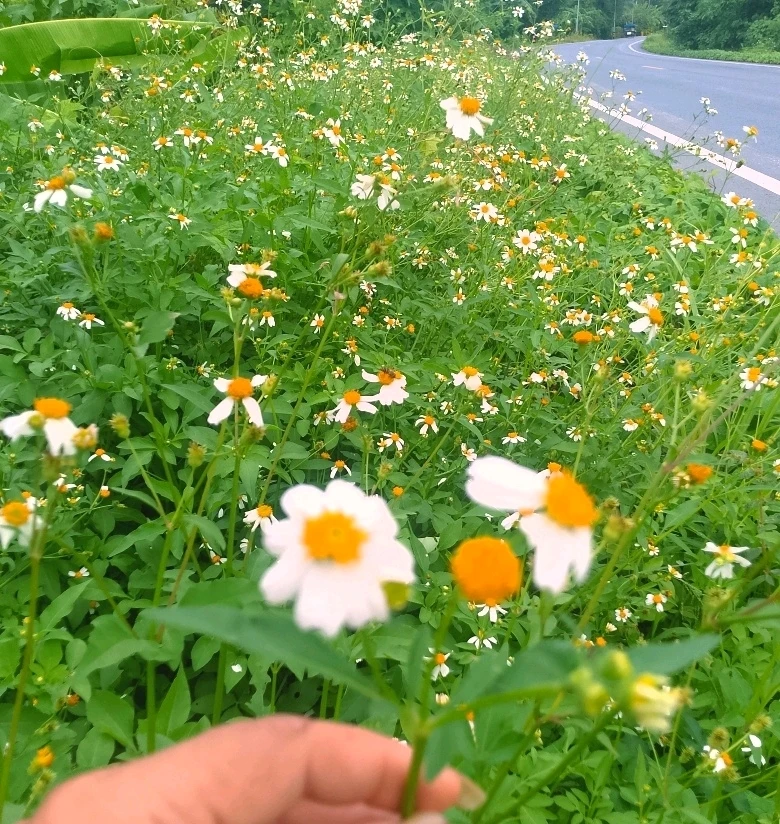 Image uploaded by Love