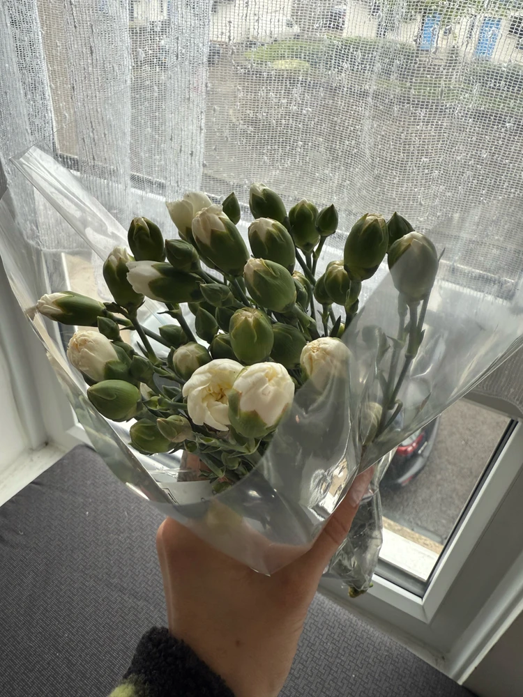 GIF uploaded by Anastasiia