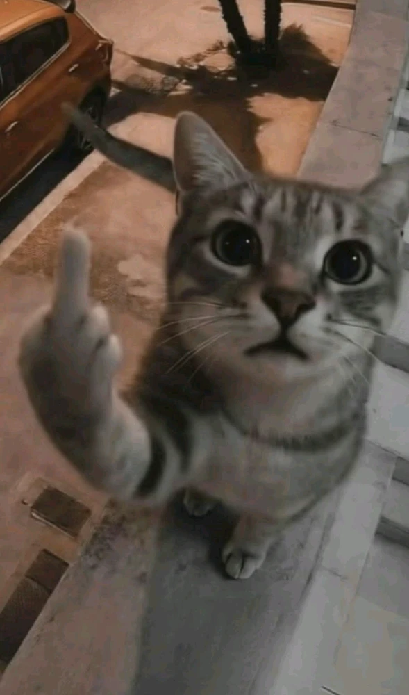 GIF diunggah oleh Faiz