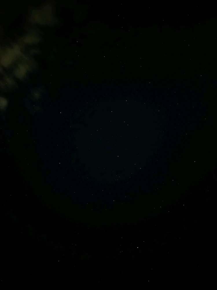 GIF subido por Alan