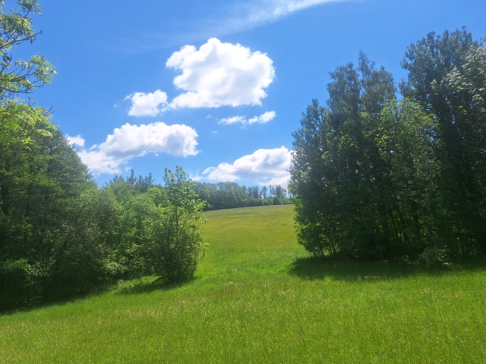 GIF nahrál Iva