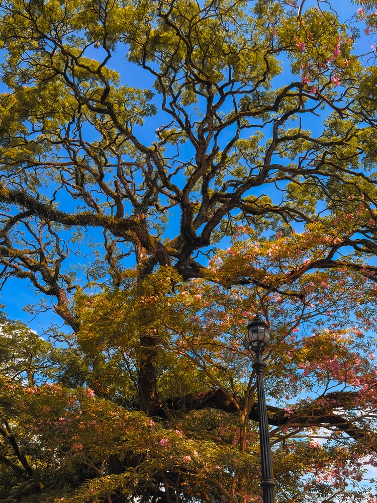 GIF uploaded by Travis