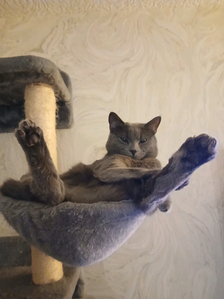 GIF uploaded by Leon