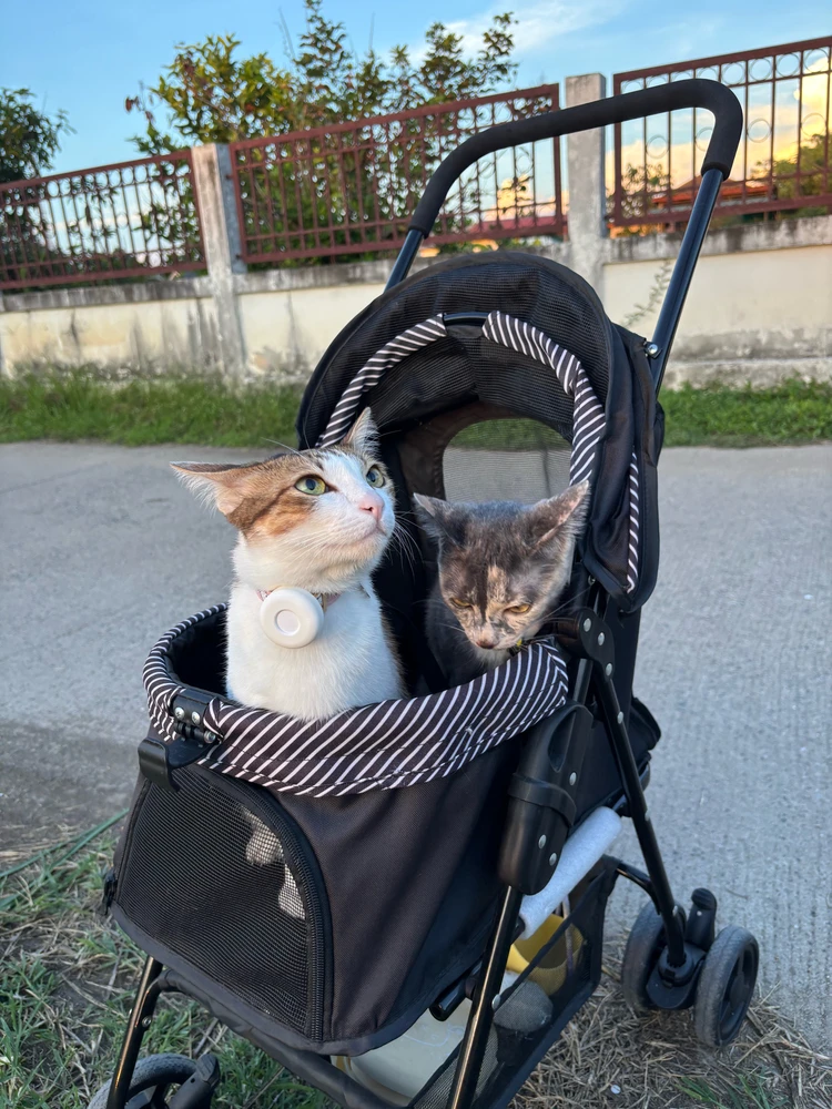 Image uploaded by Patโก