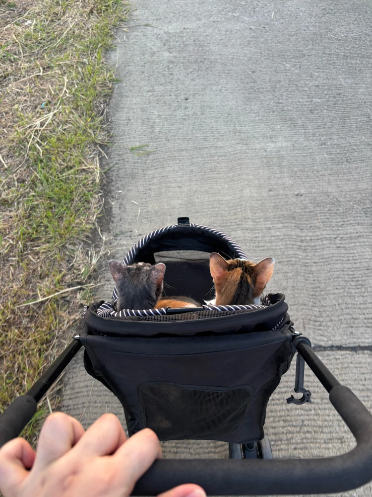 Image uploaded by Patโก