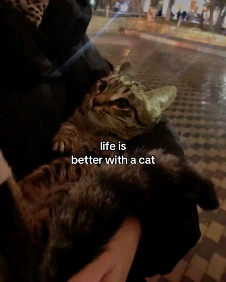 GIF uploaded by Anna
