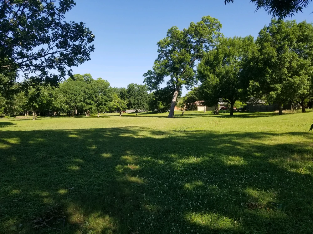 Image uploaded by Pork