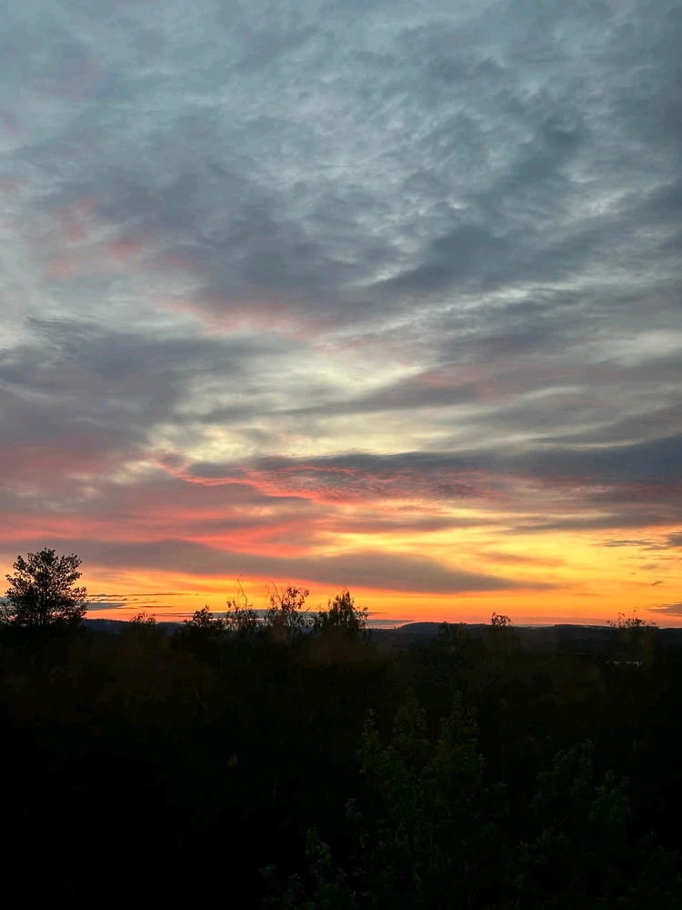GIF uploaded by Thara