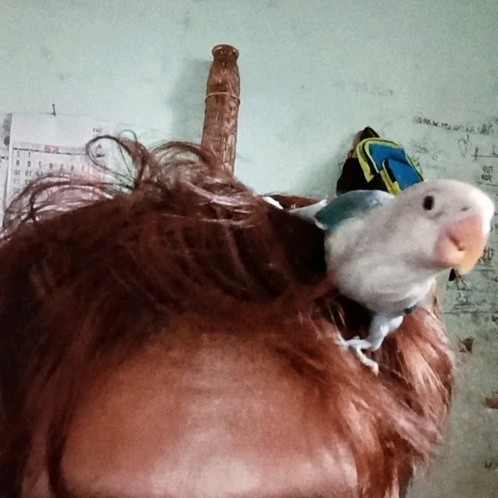 Image uploaded by Kai