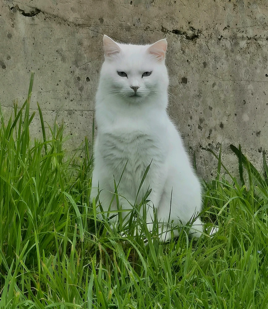 GIF uploaded by Maria