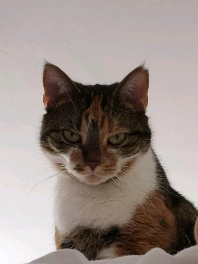 GIF uploaded by Katty