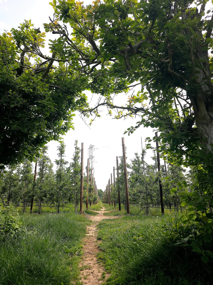 Image uploaded by Sacha