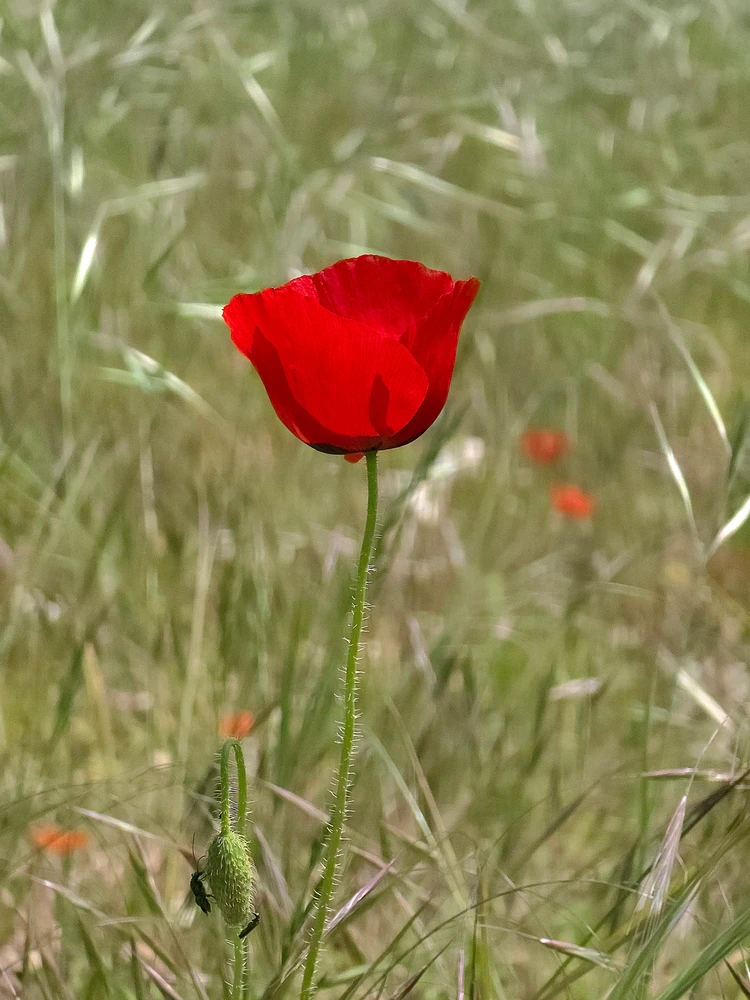 Image uploaded by Sacha