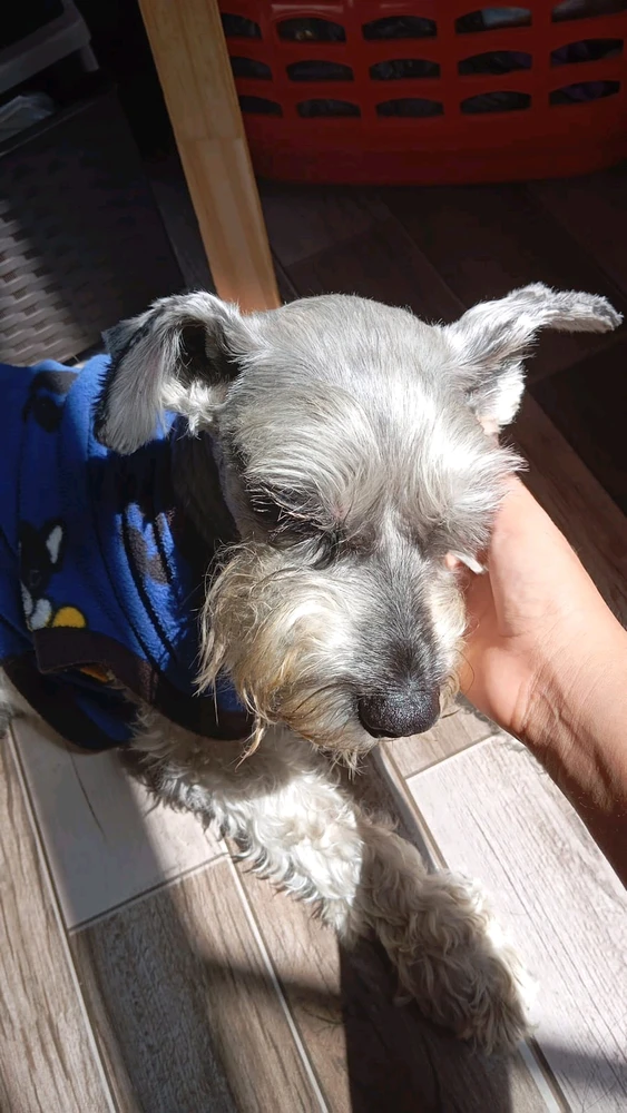 GIF uploaded by Sophie