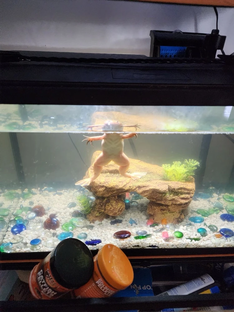 Image uploaded by BillOn