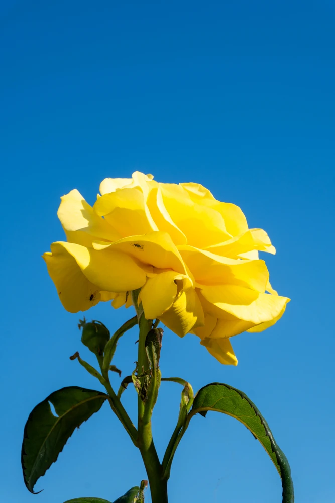 GIF uploaded by Varun Kachhwaha