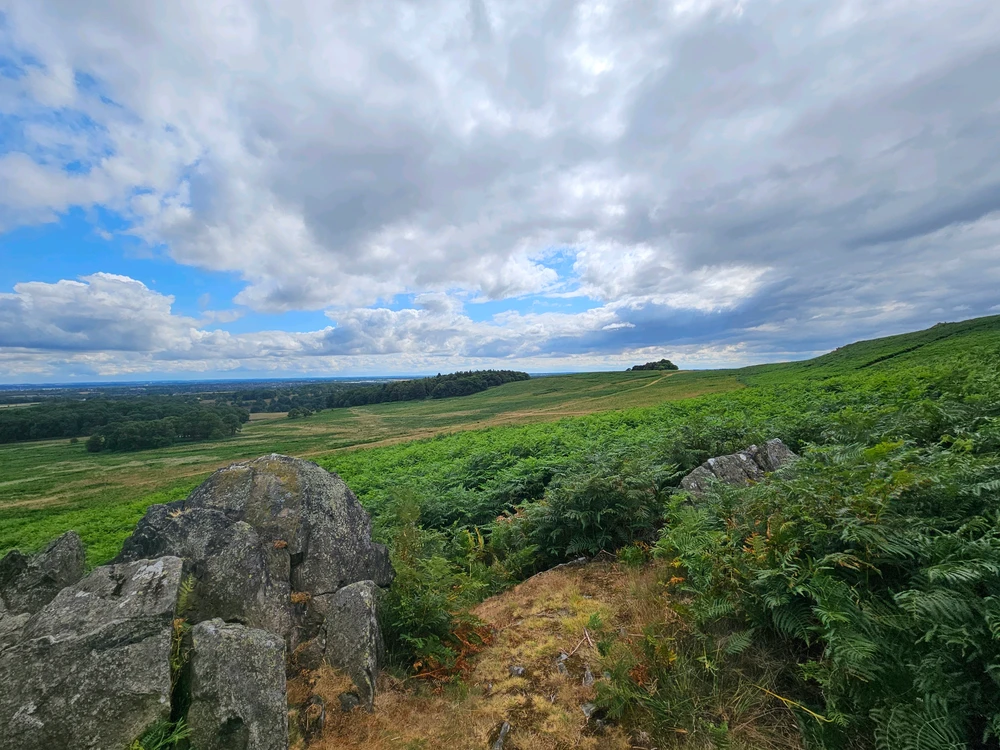 Image uploaded by Joseph Doggett