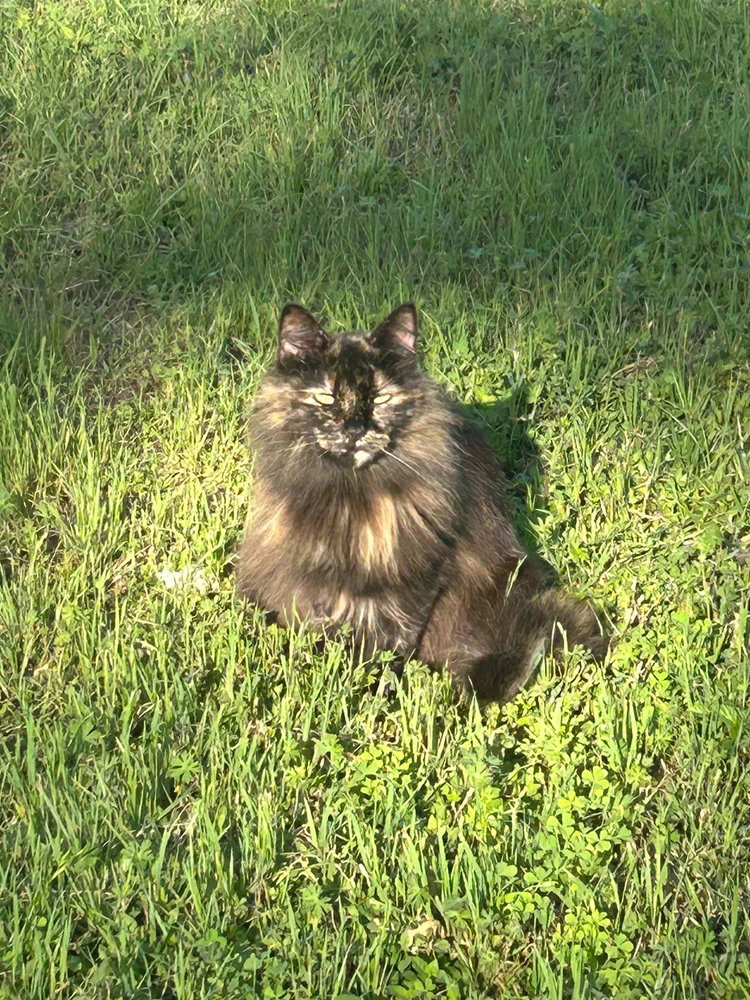 GIF uploaded by Brandi