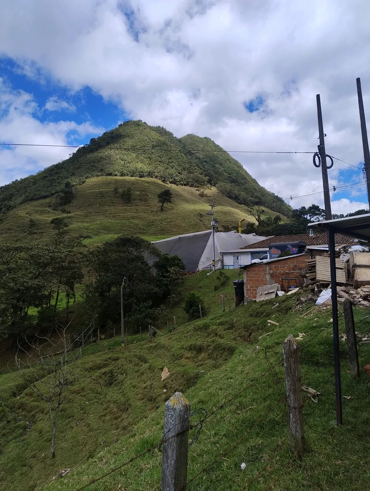 Image uploaded by Jp