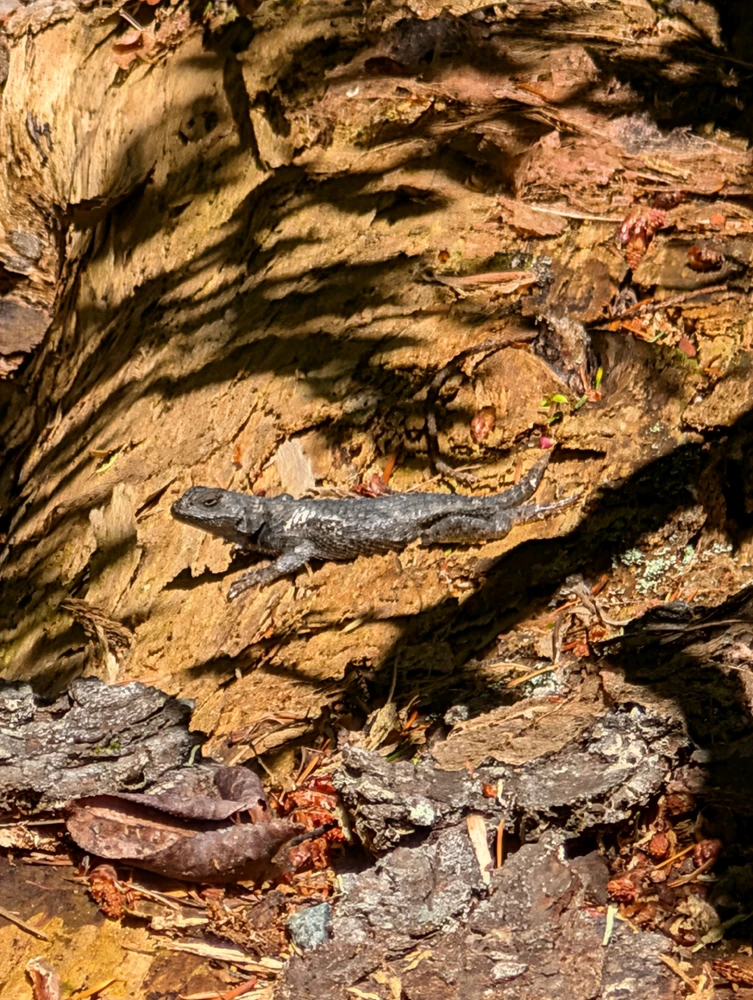 Enjoying the sun