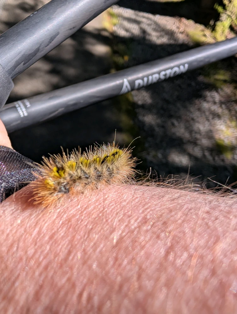 Fuzzy fren