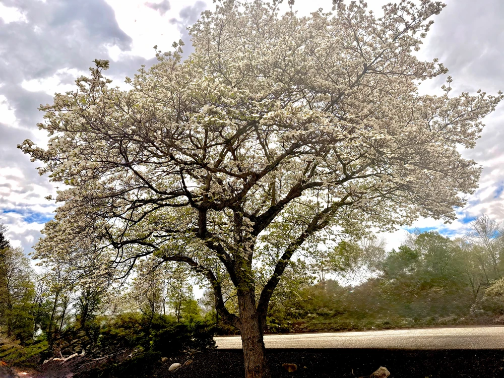 GIF uploaded by Miosotis