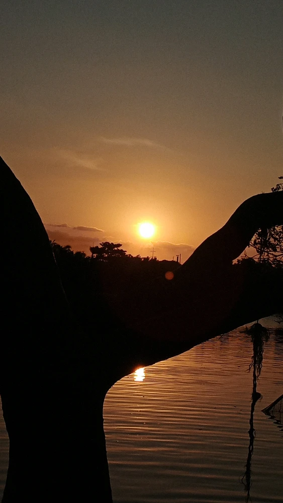 Image uploaded by Jade
